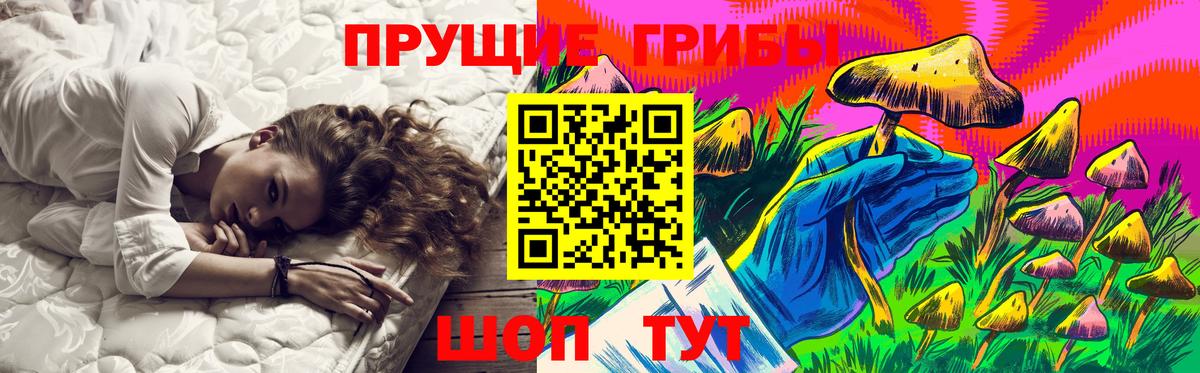 Галлюциногенные грибы Psilocybine cubensis  Псилоцибиновые грибы Psilocybe  Волгодонск  Вход с VPN 